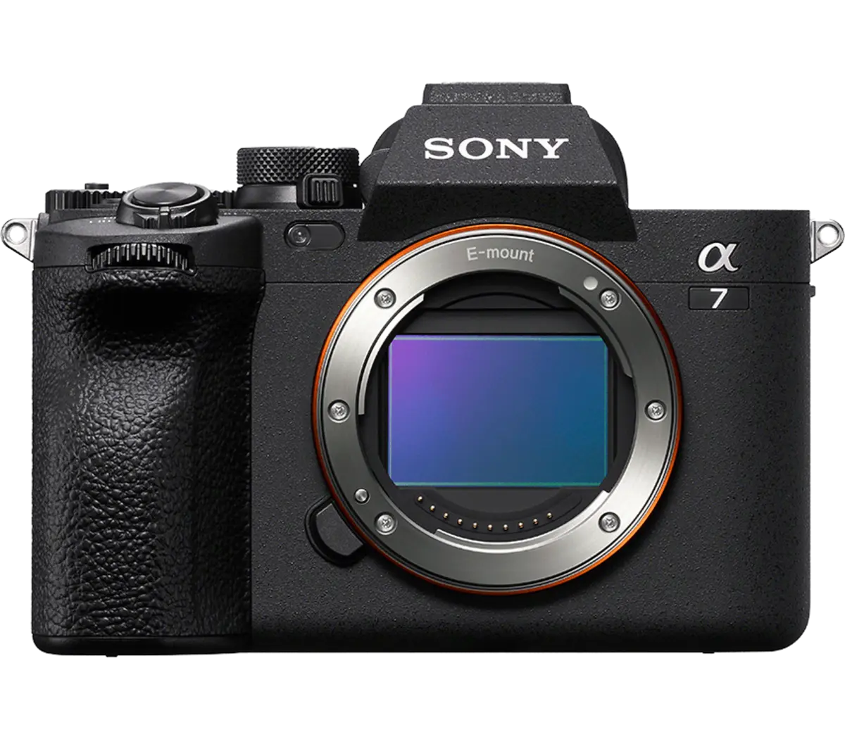 Best Cameras for Travel, Family Photos, and Content Creators